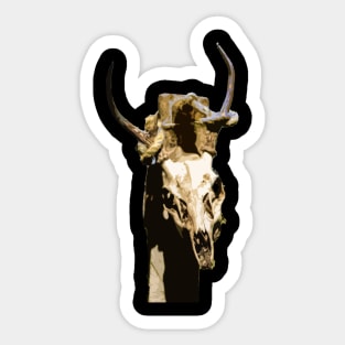 dead animal head Sticker